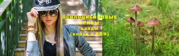 а пвп мука Арсеньев