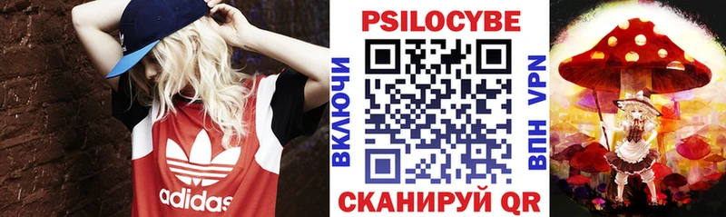 Галлюциногенные грибы Psilocybe  магазин продажи наркотиков  Урюпинск 